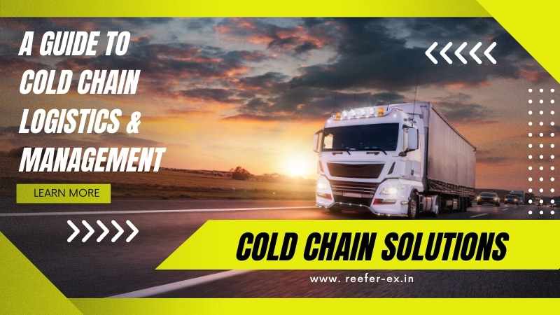 A Guide to Cold Chain Logistics and Management