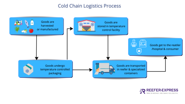 What Is Cold Chain Management & Why It's Important? Reefer Express