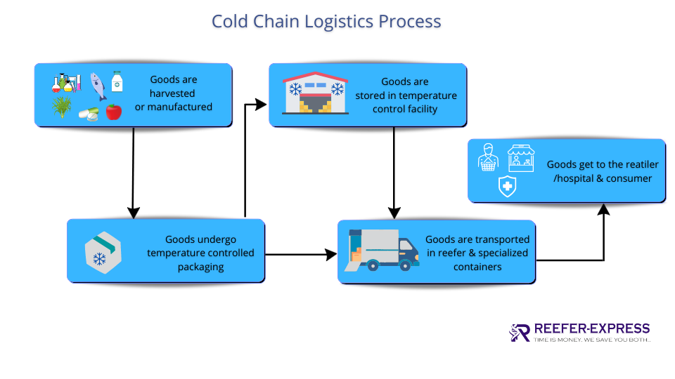 cold chain management process