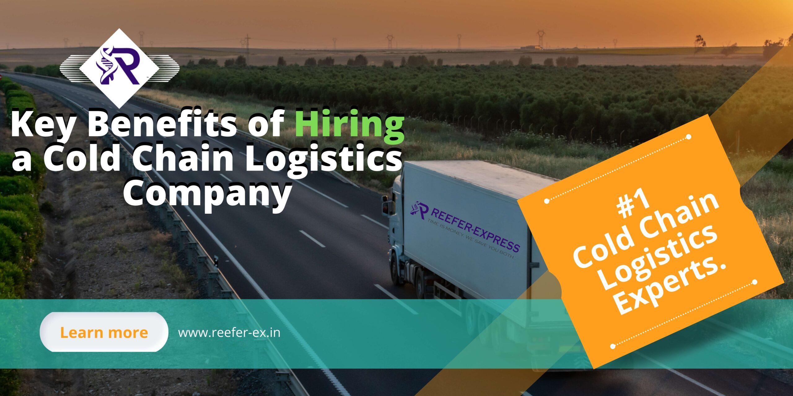 Key Benefits of Hiring a Cold Chain Logistics Company